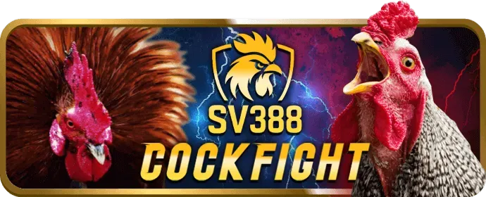 Yêu cầu vòng cược helo88